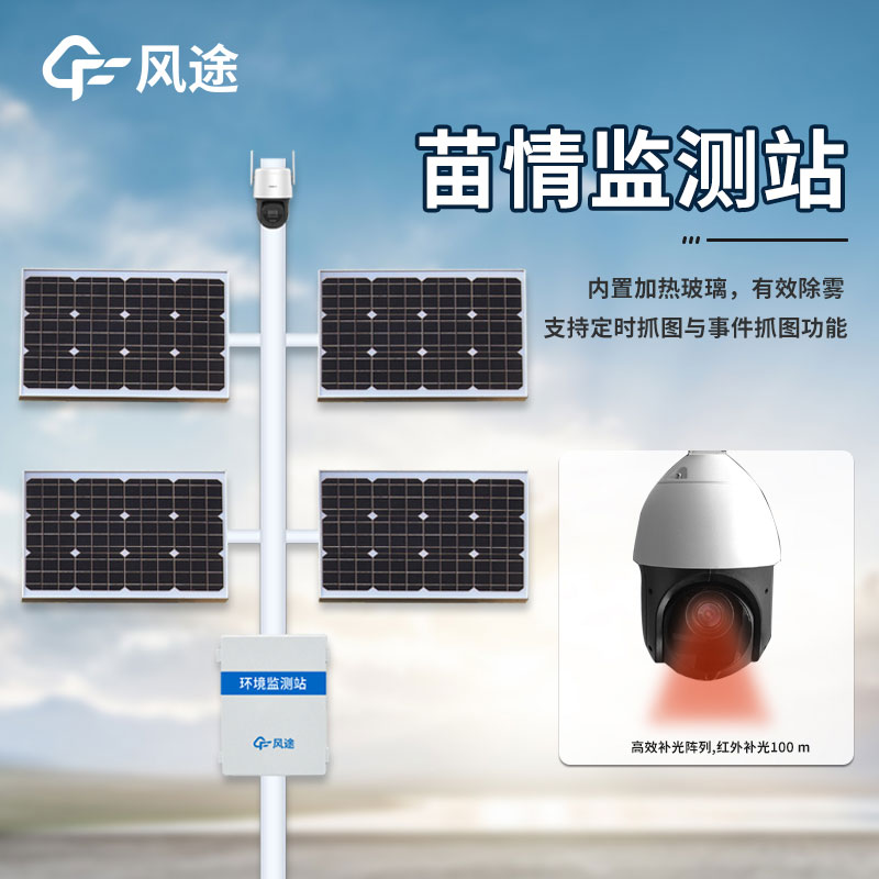 苗情站是干什么的？